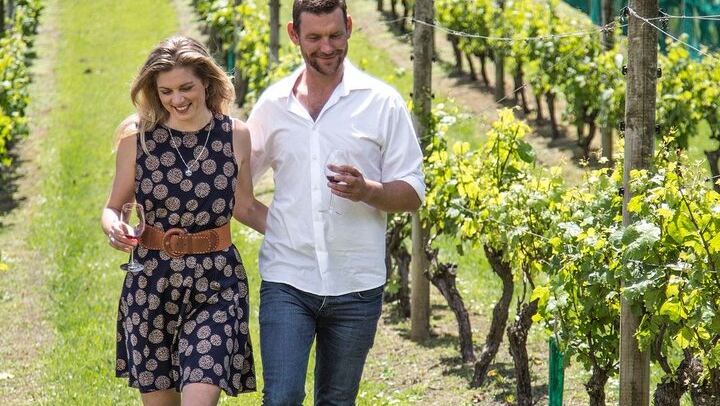Waiheke Wine Tour with Ananda: Three Vineyards and Lunch at Three Seven Two (4/12)