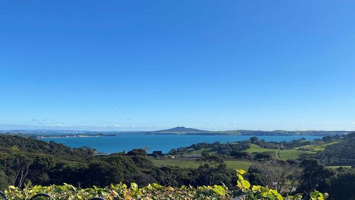 Waiheke Wine Tour with Ananda: Three Vineyards and Lunch at Three Seven Two (2/12)