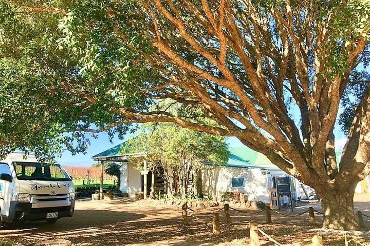 Waiheke Wine Tour with Ananda: Three Vineyards and Lunch at Three Seven Two (9/12)