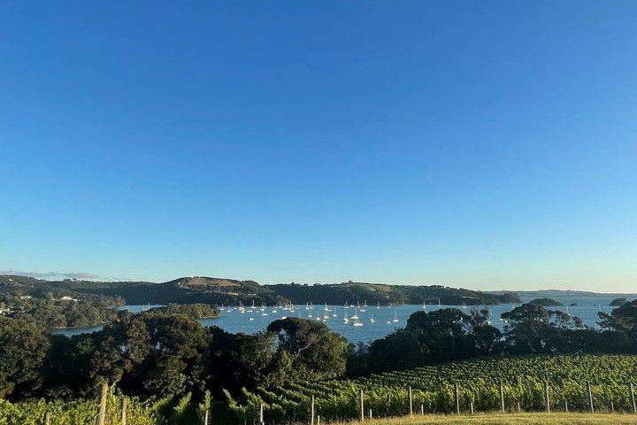 Waiheke Wine Tour with Ananda: Three Vineyards and Lunch at Three Seven Two (10/12)