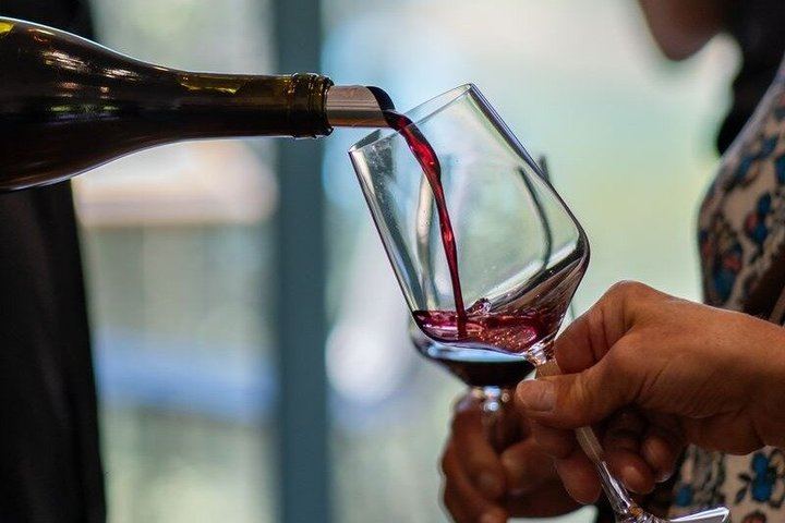 Waiheke Wine Tour with Ananda: Three Vineyards and Lunch at Three Seven Two (11/12)