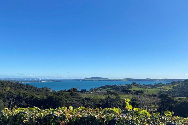 Waiheke Wine Tour with Ananda: Three Vineyards and Lunch at Three Seven Two (2/12)