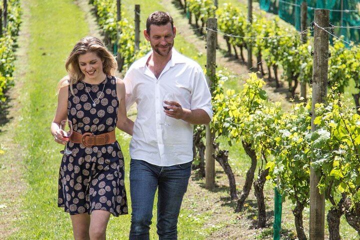 Waiheke Wine Tour with Ananda: Three Vineyards and Lunch at Three Seven Two (4/12)