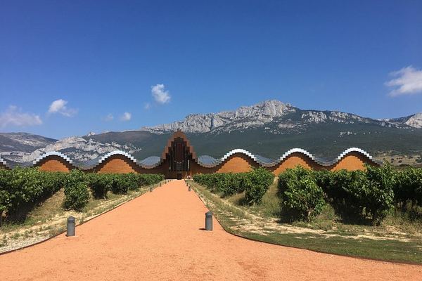 Semi-Private Rioja Day from Bilbao: Haro Cellar, Family Bodegas and Laguardia