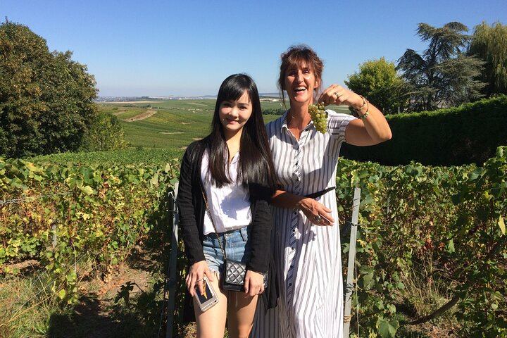 Small-Group Champagne Day Trip by Van, Max 8 Guests, with Lunch and Grower Tasting (8/8)