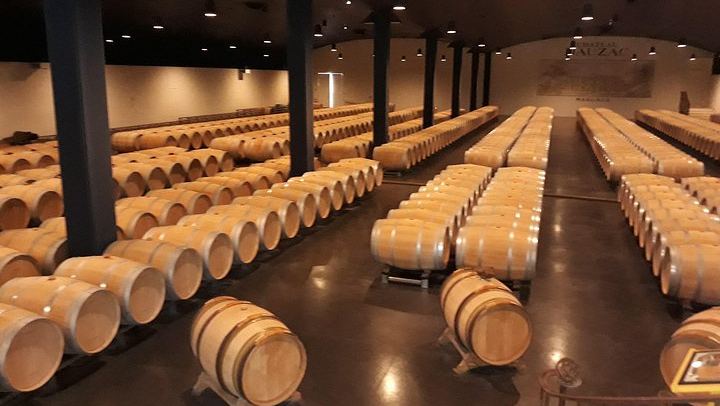 Médoc Sidecar Wine Tour from Bordeaux with a Local and Grand Cru Classé Tasting (2/8)