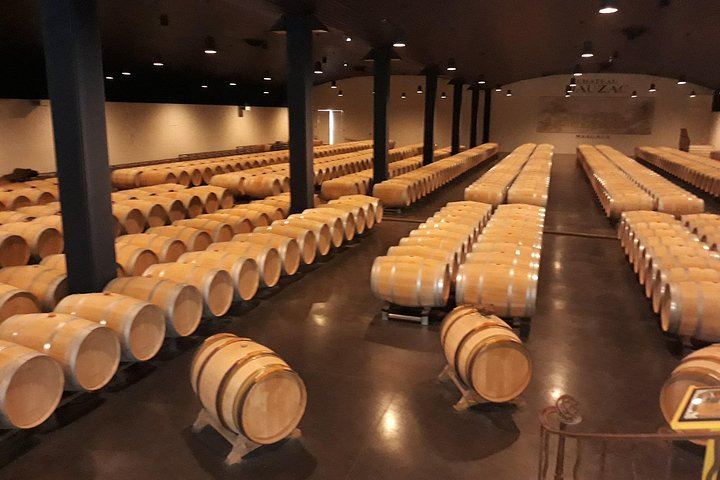 Médoc Sidecar Wine Tour from Bordeaux with a Local and Grand Cru Classé Tasting (2/8)