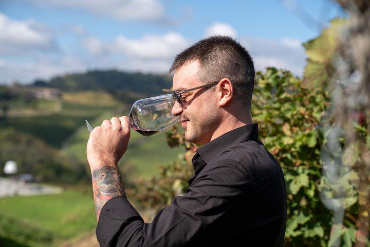 Podere Gagliassi Barolo Vertical Tasting, Organic Vineyards and Cellar, Monforte d'Alba (3/7)