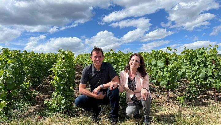 Private 3h30 Champagne Tour from Épernay: Aÿ-Champagne, Hautvillers, One Family Grower (1/12)