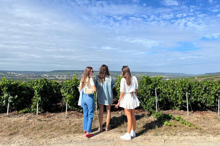 Private 3h30 Champagne Tour from Épernay: Aÿ-Champagne, Hautvillers, One Family Grower (12/12)