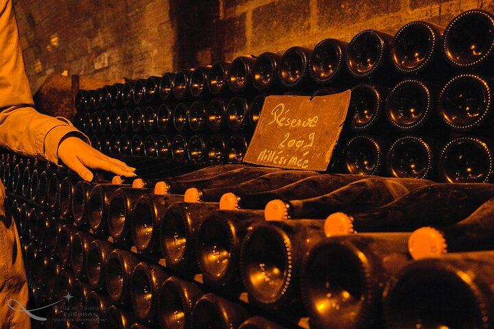 Private 3h30 Champagne Tour from Épernay: Aÿ-Champagne, Hautvillers, One Family Grower (9/12)