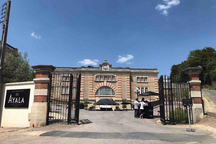 Private 3h30 Champagne Tour from Épernay: Aÿ-Champagne, Hautvillers, One Family Grower (11/12)