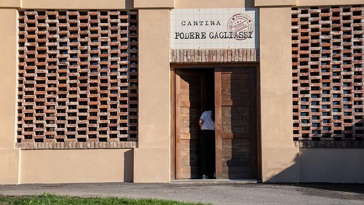 Podere Gagliassi Barolo Vertical Tasting, Organic Vineyards and Cellar, Monforte d'Alba (4/7)