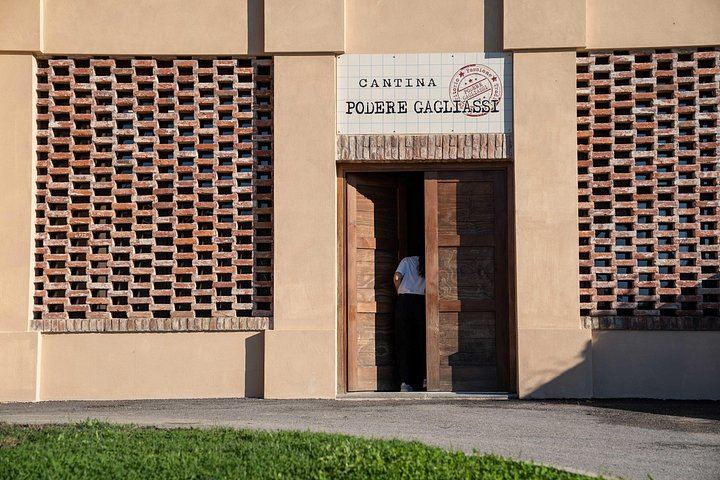 Podere Gagliassi Barolo Vertical Tasting, Organic Vineyards and Cellar, Monforte d'Alba (4/7)