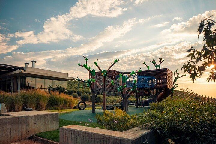 Stellenbosch Guided Wine Walk: 8 Tastings at Tokara, Thelema and Zorgvliet (5/11)