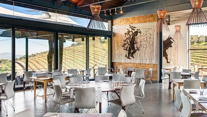 Stellenbosch Guided Wine Walk: 8 Tastings at Tokara, Thelema and Zorgvliet (3/11)
