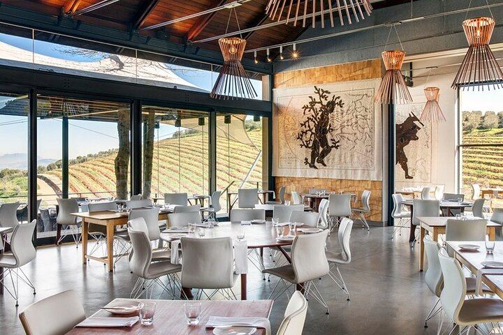 Stellenbosch Guided Wine Walk: 8 Tastings at Tokara, Thelema and Zorgvliet (3/11)