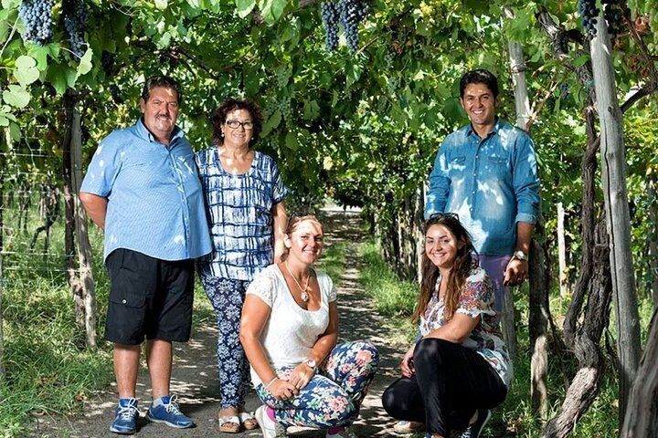 Private Vesuvius Vineyard Walk and Wine Lunch, NWT Sommelier, Transfer from Naples (5/12)