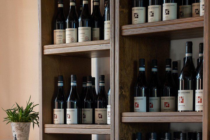 Podere Gagliassi Barolo Vertical Tasting, Organic Vineyards and Cellar, Monforte d'Alba (2/7)