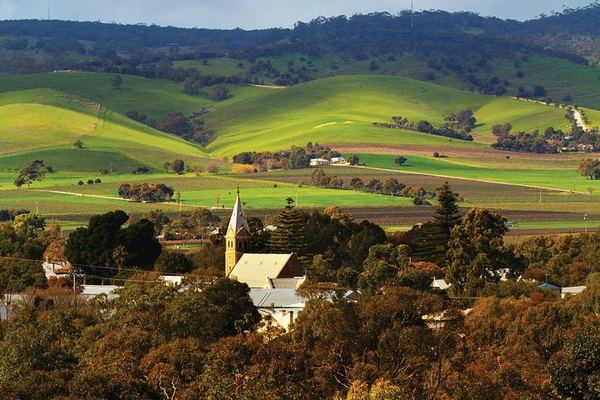Barossa Valley Hop-On Hop-Off Wine Bus from Adelaide or Tanunda, Hourly Loop