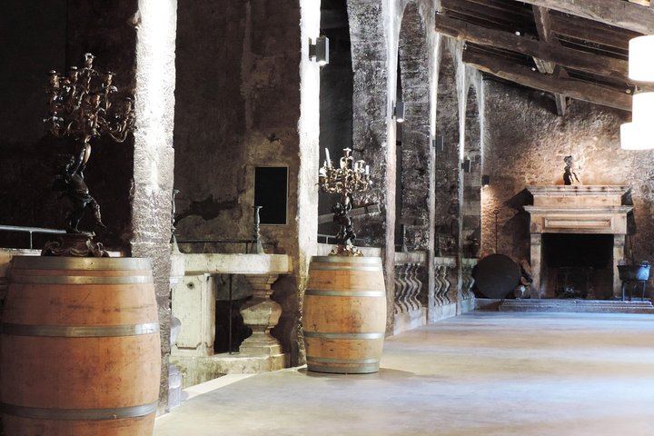 Château du Taillan Visit with 16th-Century Cellar and Wine Tasting near Bordeaux (3/3)