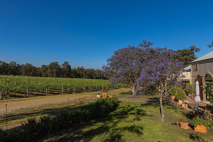 Hunter Gleann Indulgence Private Chauffeured Wine Tour, Full Day, Boutique Wineries (7/12)