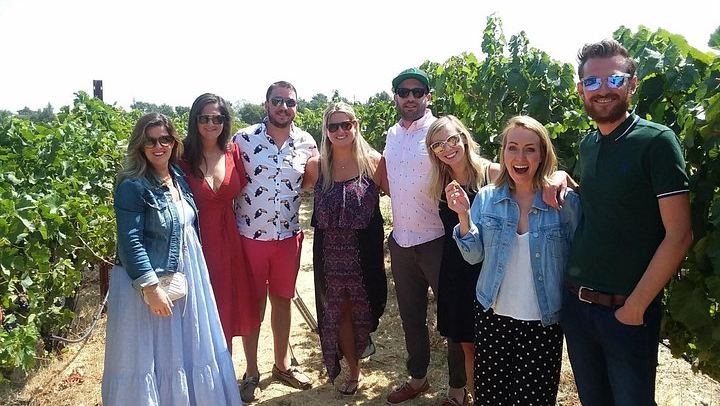 Small-Group Sonoma Wine Tour from San Francisco: Three Boutique Wineries (1/8)