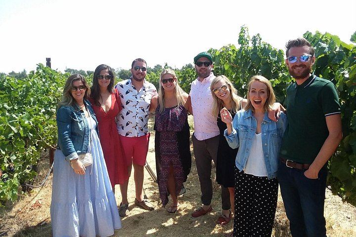 Small-Group Sonoma Wine Tour from San Francisco: Three Boutique Wineries (1/8)