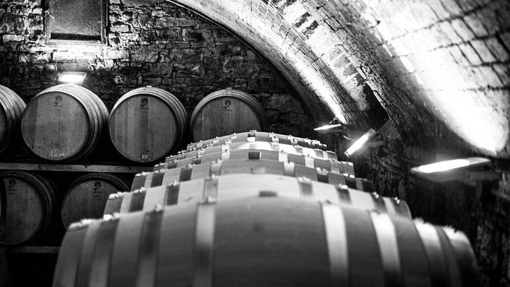 Casa Sola Winery Visit in Chianti Classico: Family Boutique Estate and Wine Tasting (3/5)