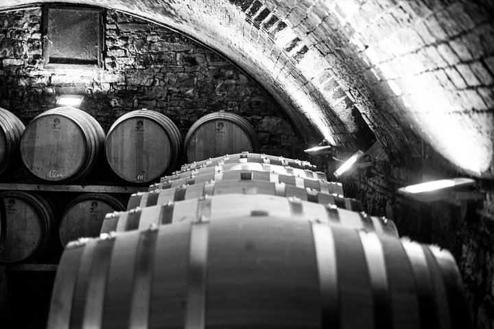 Casa Sola Winery Visit in Chianti Classico: Family Boutique Estate and Wine Tasting (3/5)