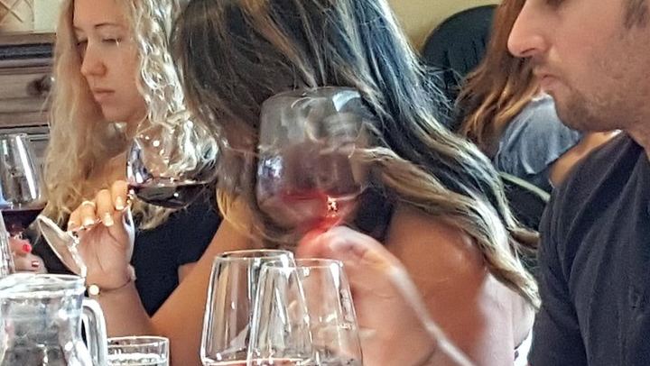 Casa Sola Winery Visit in Chianti Classico: Family Boutique Estate and Wine Tasting (2/5)