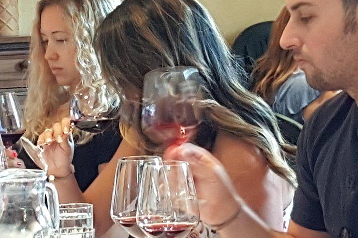 Casa Sola Winery Visit in Chianti Classico: Family Boutique Estate and Wine Tasting (2/5)