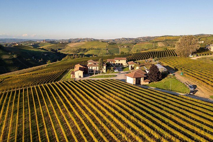 Podere Gagliassi Barolo Vertical Tasting, Organic Vineyards and Cellar, Monforte d'Alba (5/7)