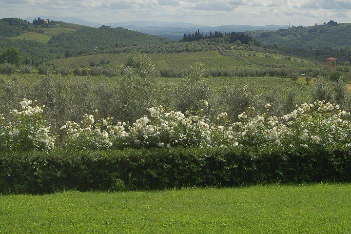 Casa Sola Winery Visit in Chianti Classico: Family Boutique Estate and Wine Tasting (1/5)