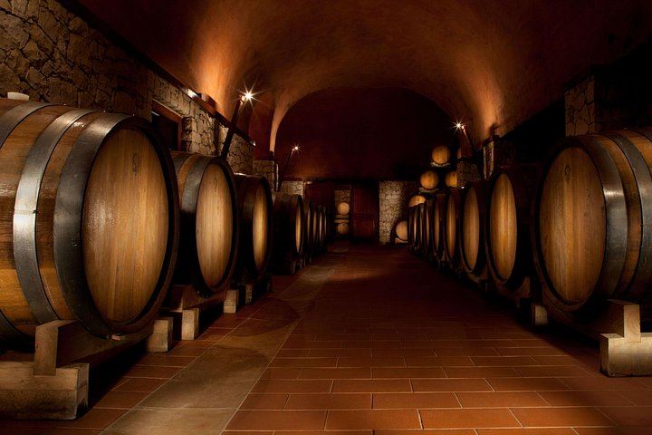 Buglioni Winery Visit and 5-Course Lunch or Dinner with Amarone, Valpolicella (1/5)