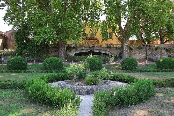 Private Luberon Day: Two Boutique Vineyards, Bastide du Laval Olive Mill and Lourmarin (10/12)