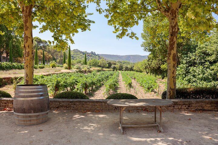 Private Luberon Day: Two Boutique Vineyards, Bastide du Laval Olive Mill and Lourmarin (8/12)
