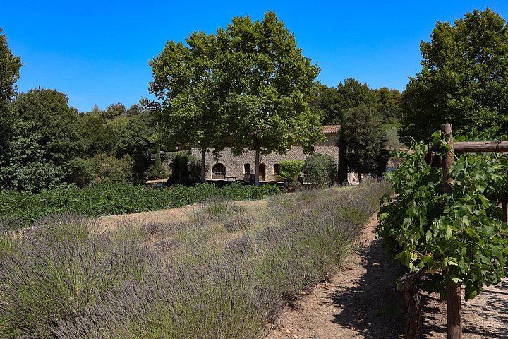 Private Luberon Day: Two Boutique Vineyards, Bastide du Laval Olive Mill and Lourmarin (9/12)
