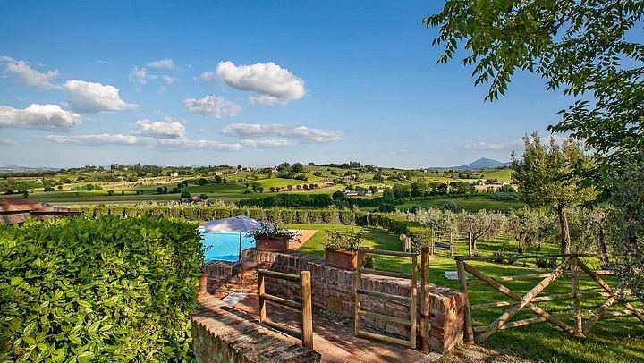 Olive Grove Walk and 4-Course Lunch with Nobile Wines, Between Valdichiana and Val d'Orcia (4/7)