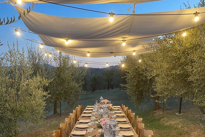 Olive Grove Walk and 4-Course Lunch with Nobile Wines, Between Valdichiana and Val d'Orcia (7/7)