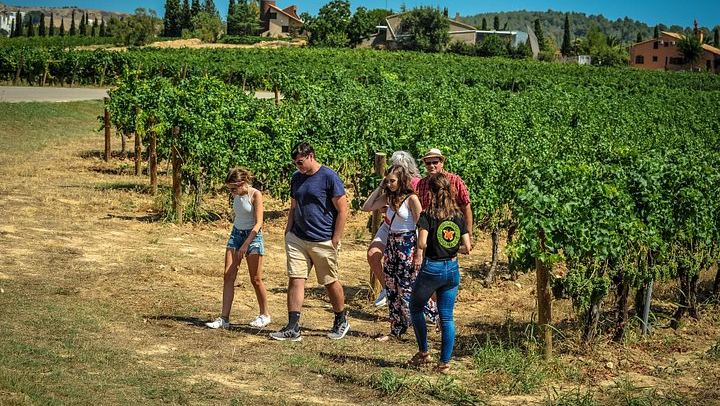 Private Full-Day Montserrat Trip with Own Guide, Black Virgin and Cava Cellar Tasting (4/8)