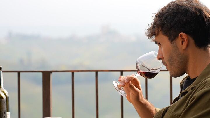 Private Tesla Wine Tour from Alba: Barolo and Barbaresco with Sommelier Pier and Chiara (1/12)