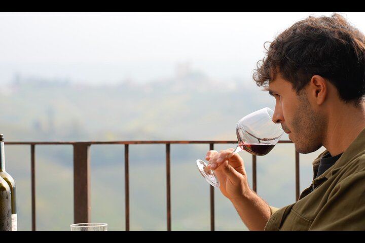 Private Tesla Wine Tour from Alba: Barolo and Barbaresco with Sommelier Pier and Chiara (1/12)
