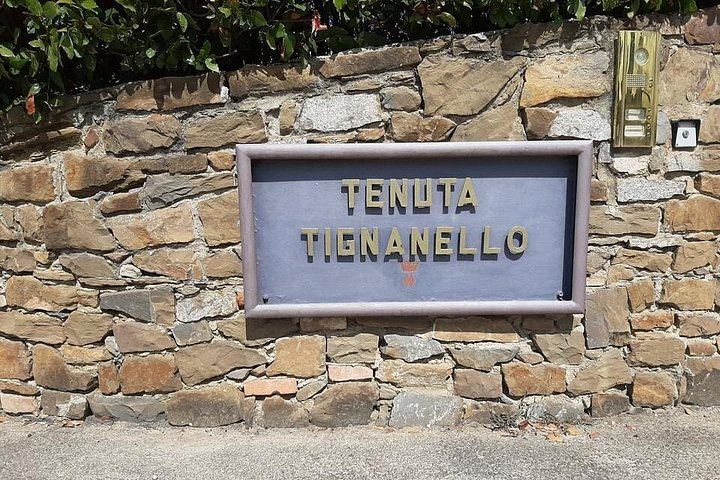 Chianti Classico Private Minivan Day from Florence: Montefioralle, Panzano and Farm Lunch (8/12)