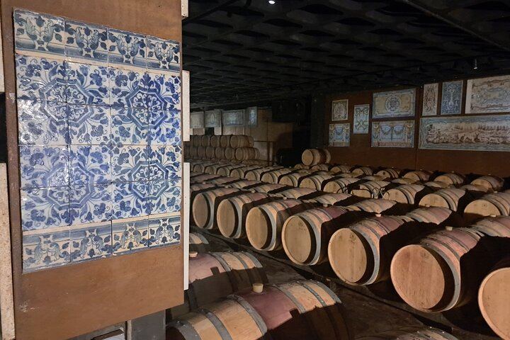 Azeitão Wine Tour with Bacalhôa and Fonseca Tastings and a Cristo Rei Viewpoint Stop (7/12)