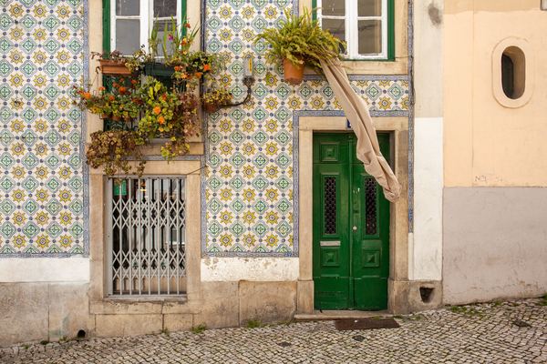 Lisbon Wine Tastings