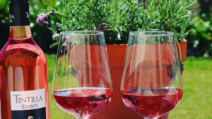 Tintilla Estate Tasting of 8 Boutique Wines with Meat and Cheese Platter, Pokolbin (2/7)