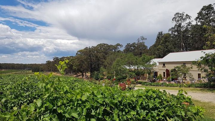 Tintilla Estate Tasting of 8 Boutique Wines with Meat and Cheese Platter, Pokolbin (3/7)