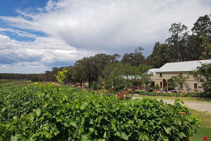 Tintilla Estate Tasting of 8 Boutique Wines with Meat and Cheese Platter, Pokolbin (3/7)