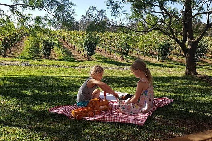 Tintilla Estate Tasting of 8 Boutique Wines with Meat and Cheese Platter, Pokolbin (5/7)